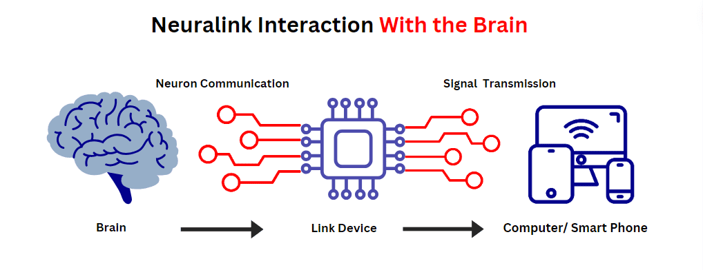 How does Neuralink work with the Brain